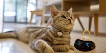 Wearable Tech for Pet Lovers: Keeping Your Furry Friends Safe